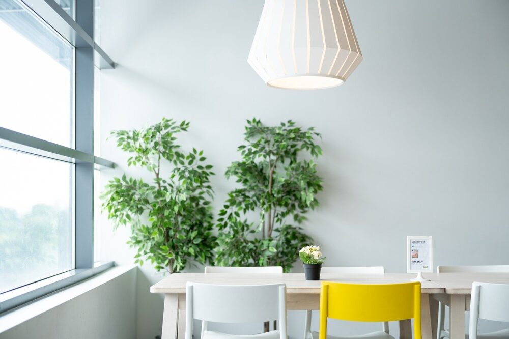 観葉植物がある部屋