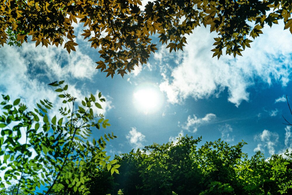 晴れた青空